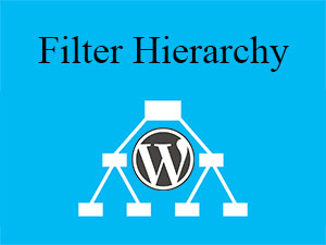 filter hierarchy چیست؟